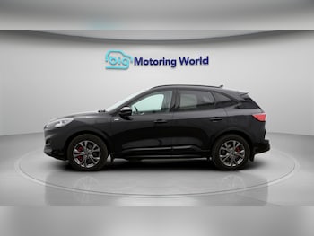 Used Ford Kuga 2021 for sale - 77137127: Photo