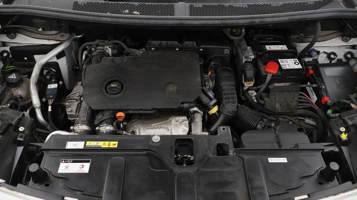Vehicle 31