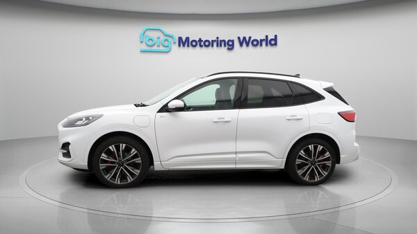 Used Ford Kuga 2021 for sale - 76213930: Photo 5