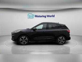 Used Ford Kuga 2021 for sale - 77192881: Photo