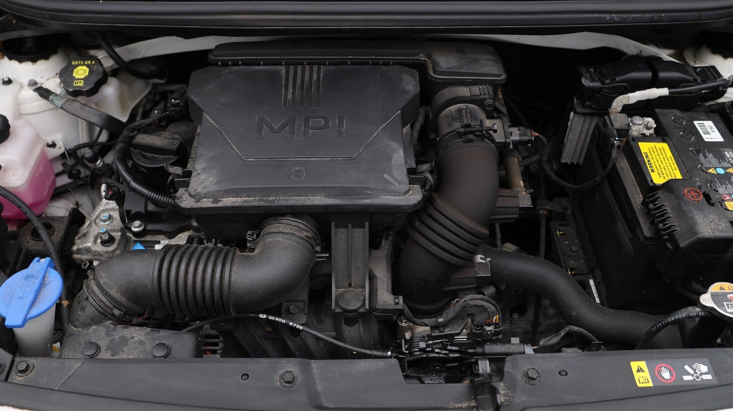 Used Kia Picanto 2023 for sale - 77703056: Photo 19