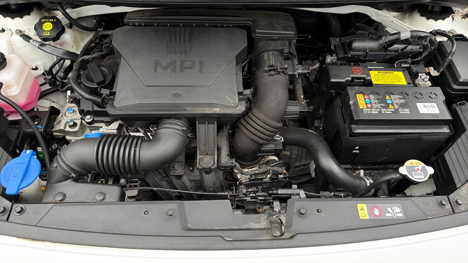 Used Kia Picanto 2023 for sale - 78165939: Photo 18