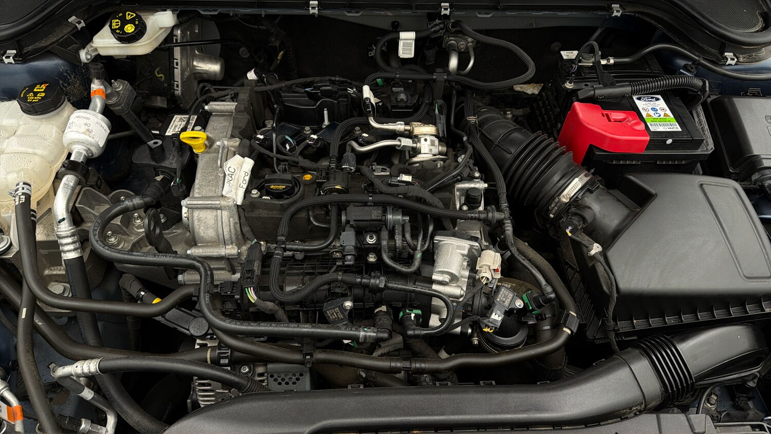 Used Ford Focus 2023 for sale - 78177280: Photo 18