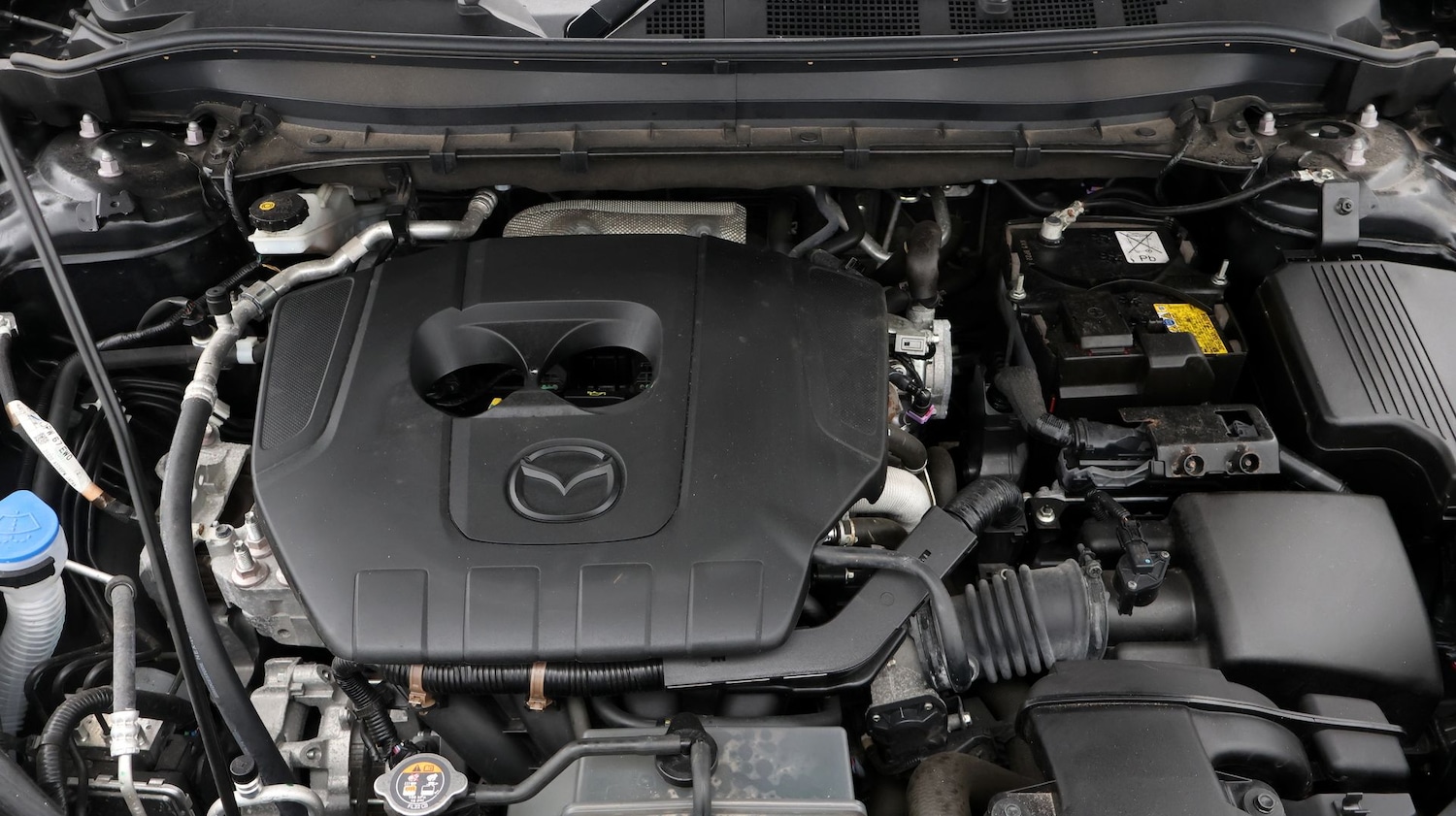 Used Mazda CX-5 2023 for sale - 77182057: Photo 19