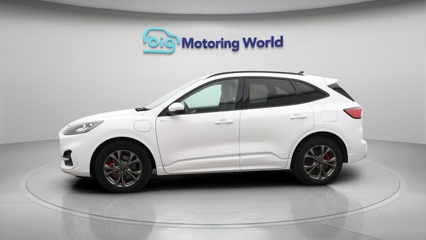 Used Ford Kuga 2021 for sale - 76174892: Photo 5