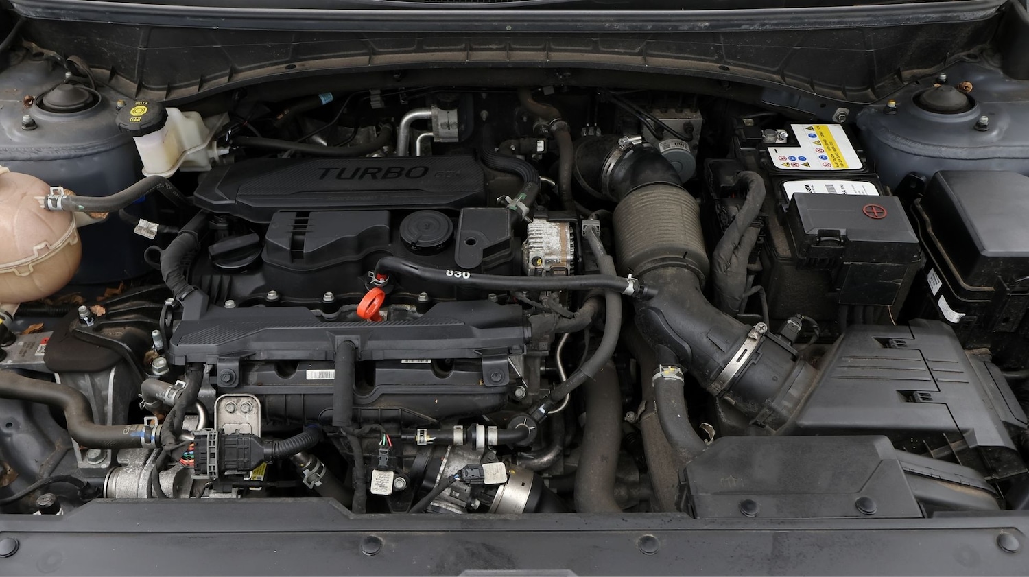 Used Hyundai TUCSON 2022 for sale - 77778927: Photo 19