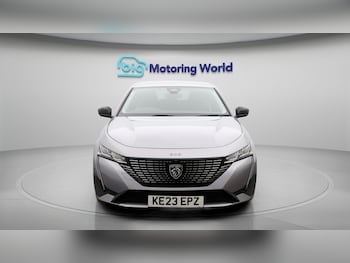 Used Peugeot 308 2023 for sale - 77679303: Photo