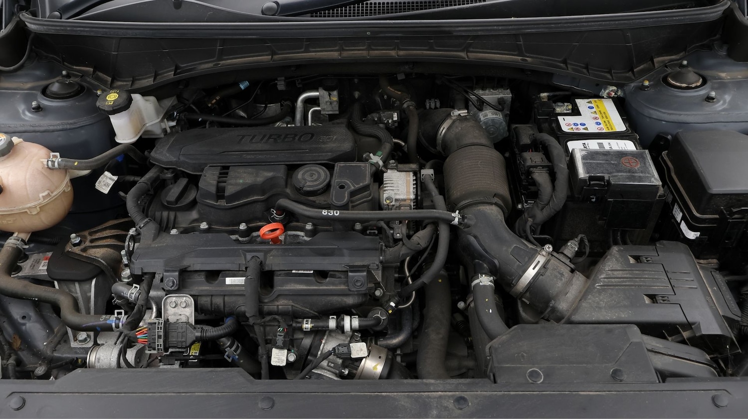 Used Hyundai TUCSON 2023 for sale - 77830275: Photo 19