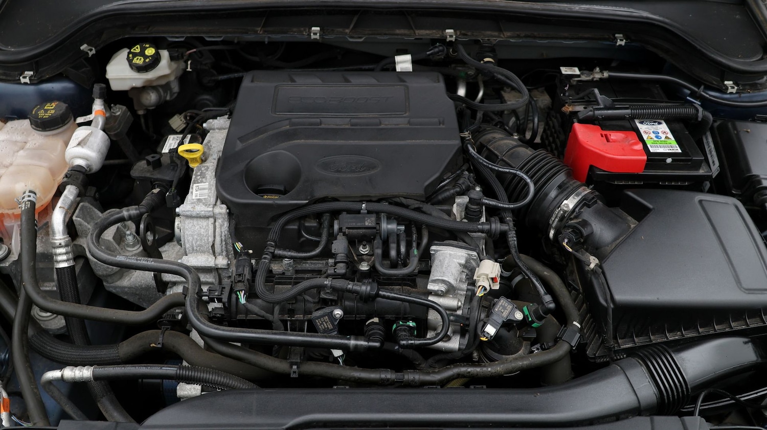 Used Ford Focus 2019 for sale - 77431217: Photo 19