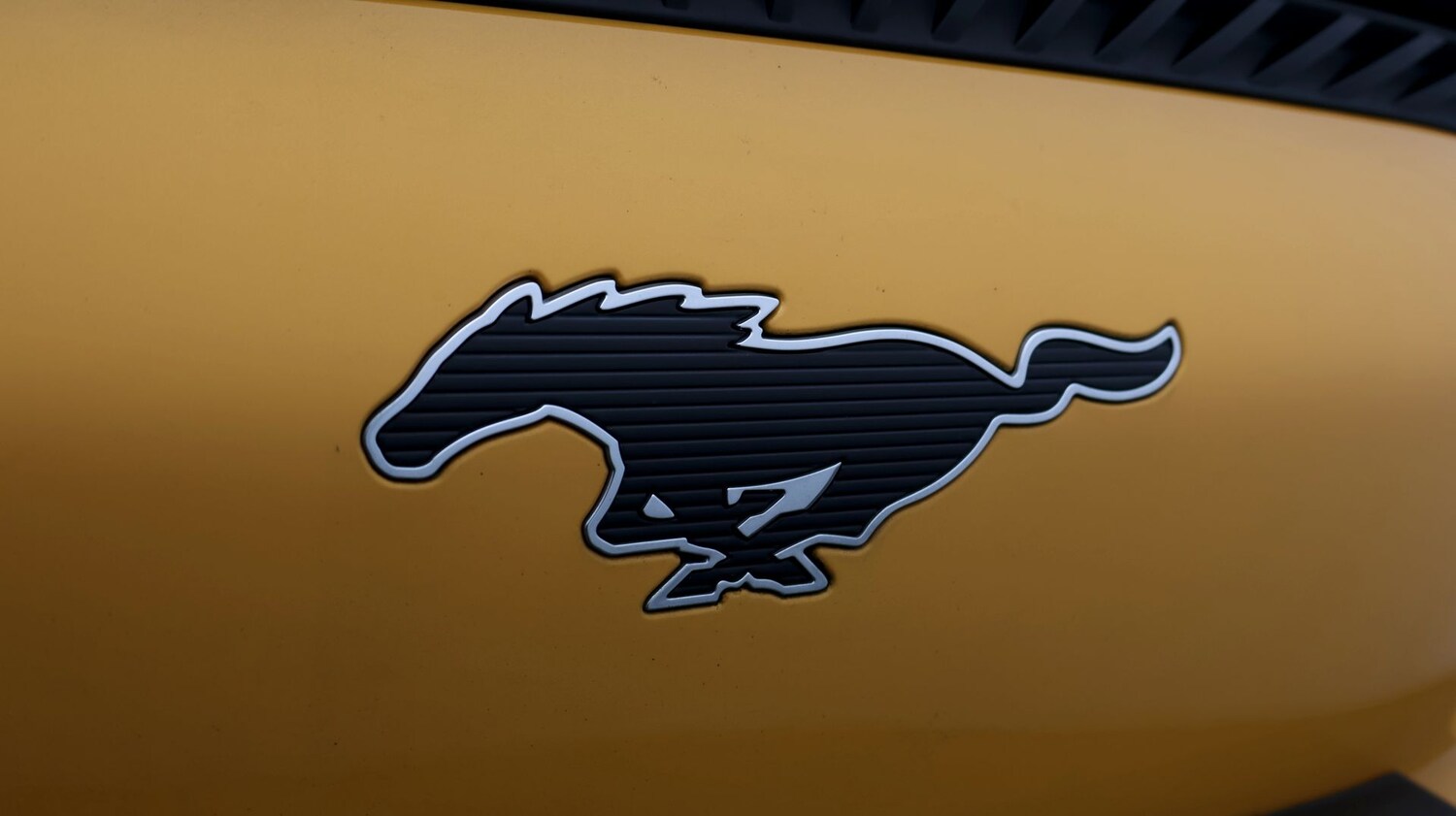 Used Ford Mustang Mach-E 2024 for sale - 77742535: Photo 20