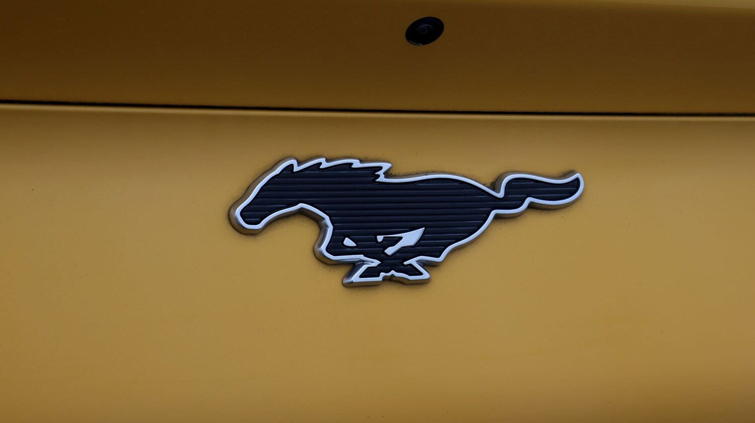 Used Ford Mustang Mach-E 2024 for sale - 77742535: Photo 21