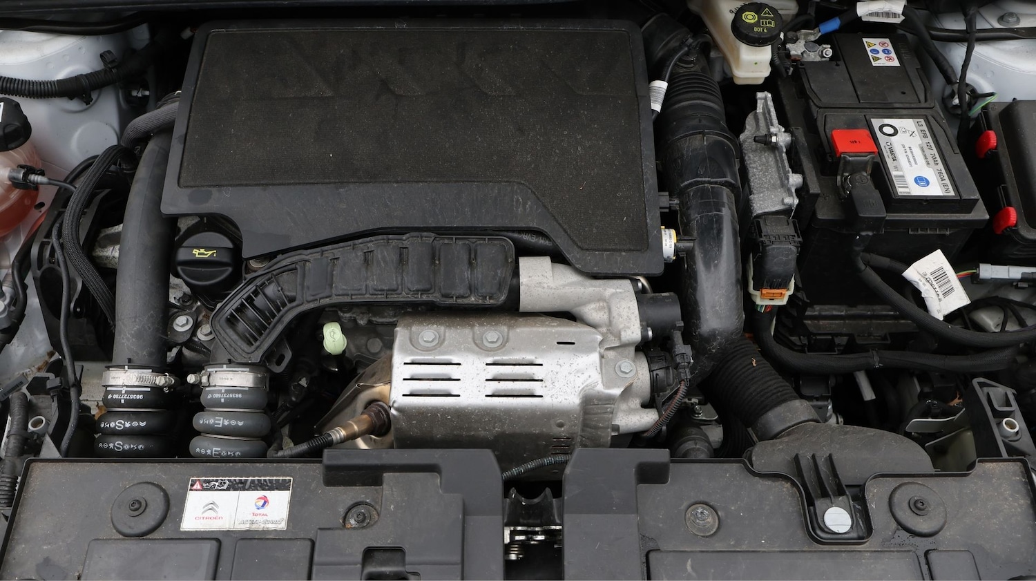 Used Citroen C4 for sale - 77214774: Photo 19