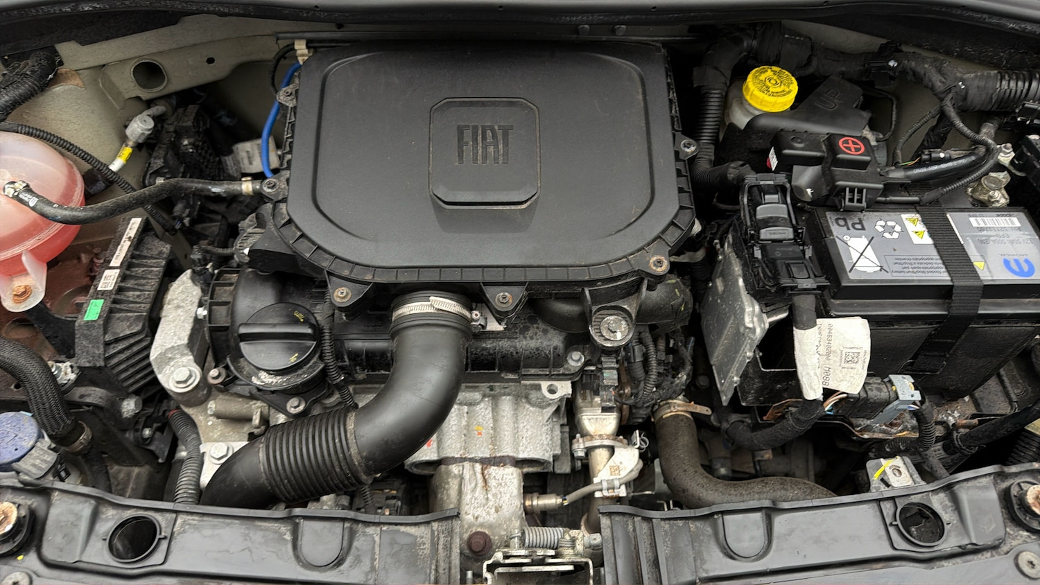 Used Fiat Panda 2021 for sale - 77962076: Photo 18