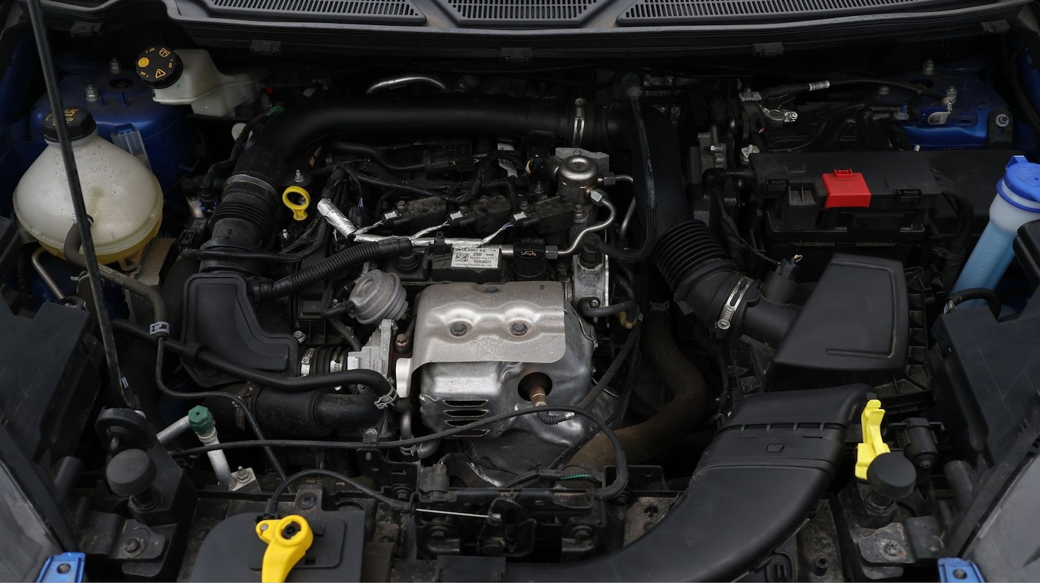 Used Ford Ecosport 2022 for sale - 77759577: Photo 19