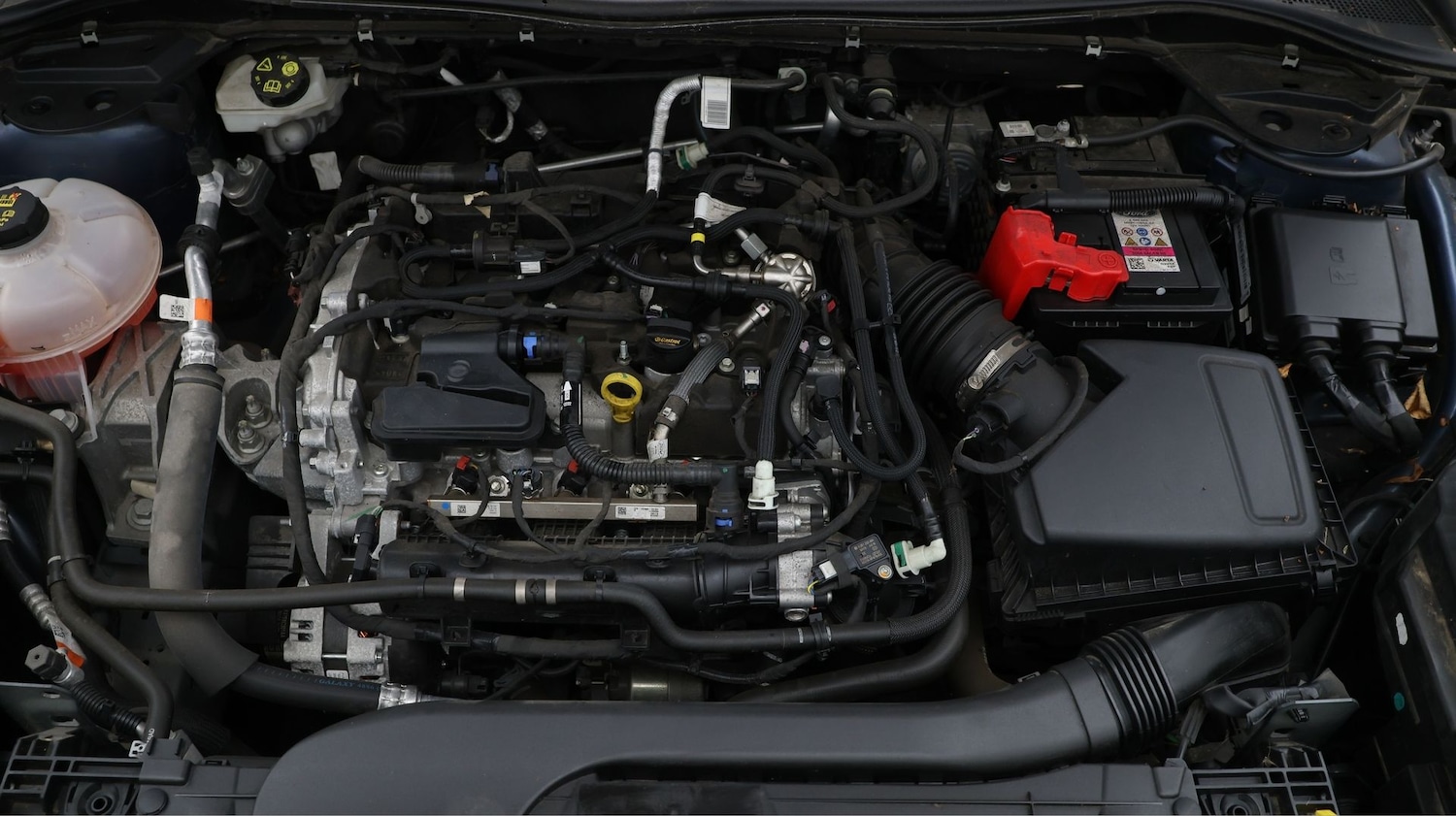 Used Ford Kuga 2022 for sale - 77382822: Photo 19