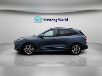 Used Ford Kuga 2022 for sale - 77382822: Photo