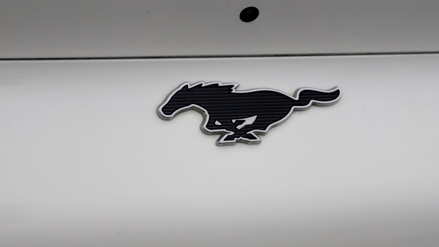 Used Ford Mustang Mach-E 2022 for sale - 77181695: Photo 21