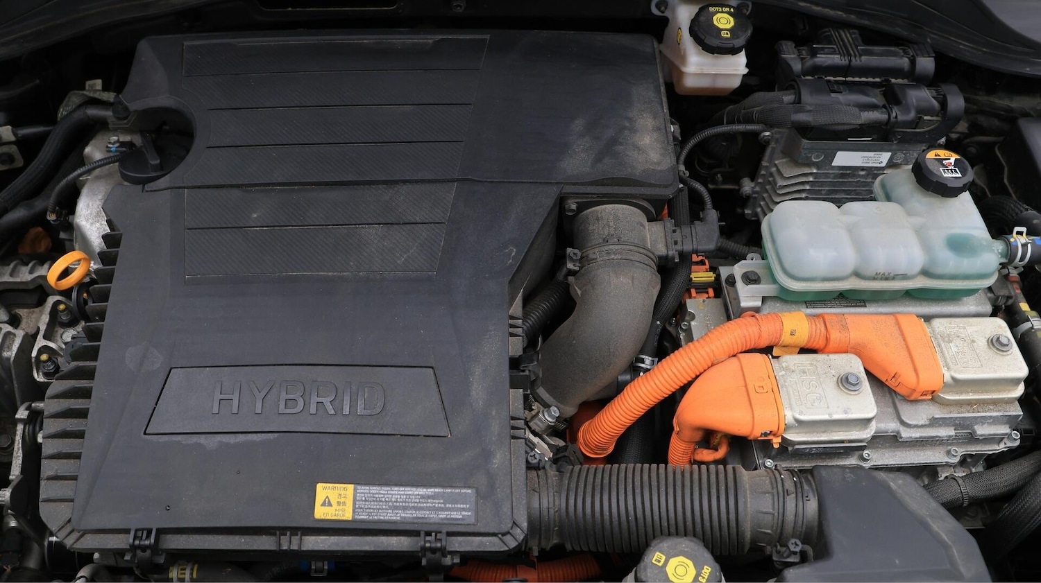 Used Kia Niro for sale - 76728881: Photo 20