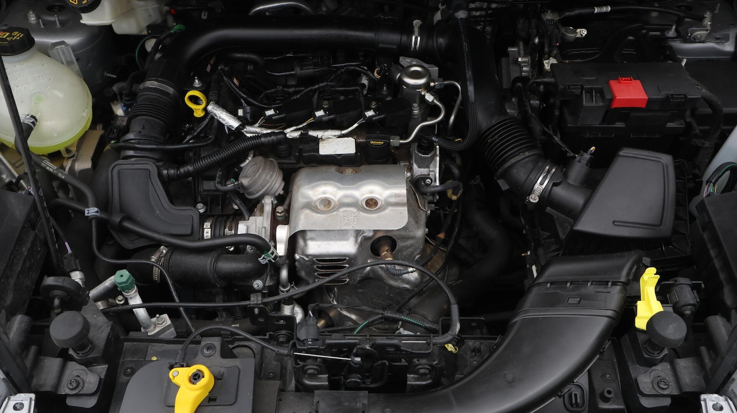 Used Ford Ecosport 2023 for sale - 76657035: Photo 20