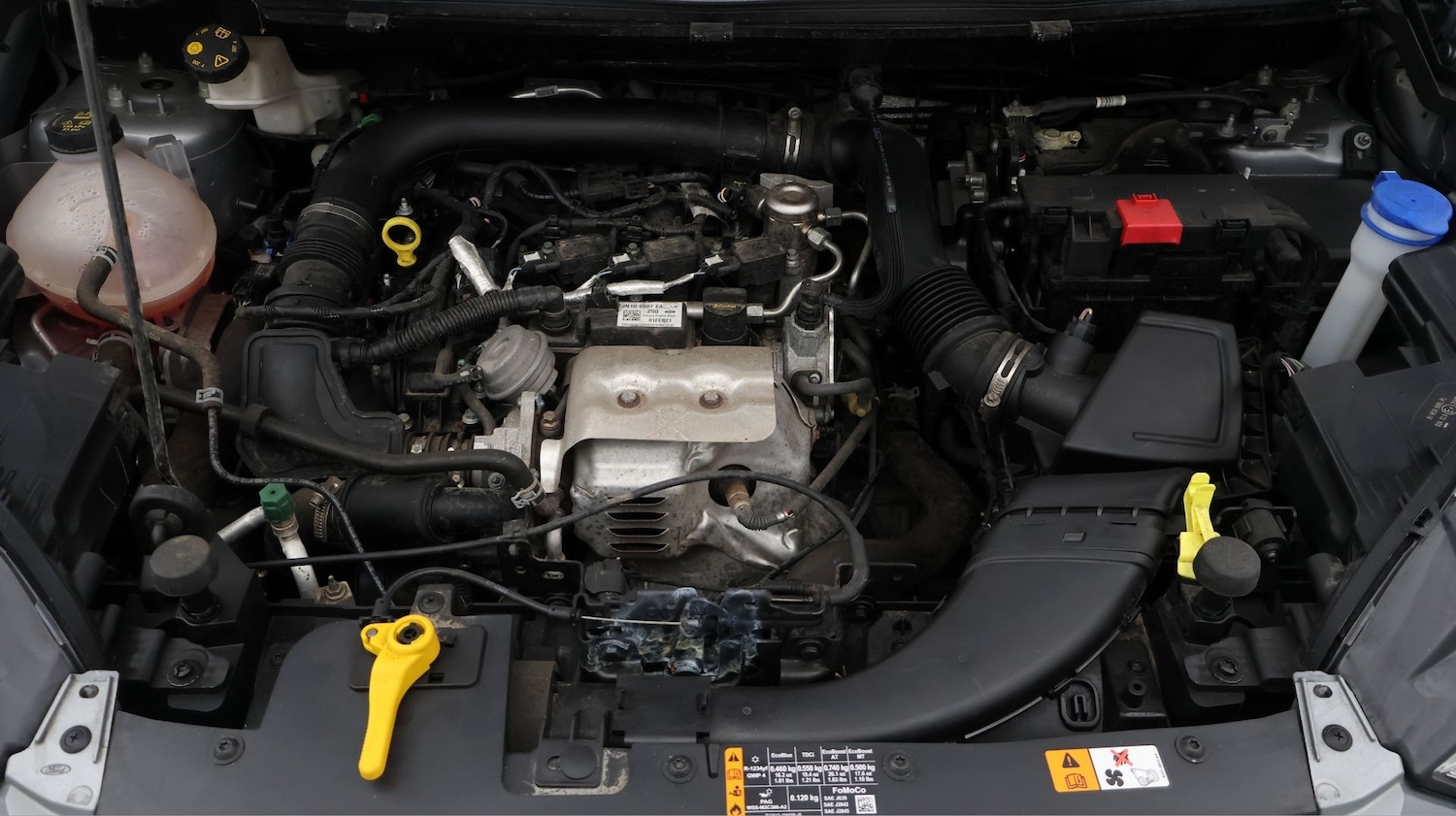 Used Ford Ecosport 2021 for sale - 77715583: Photo 19