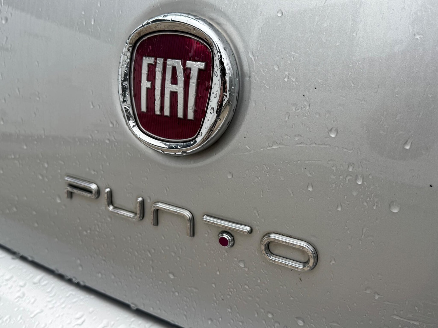 Used Fiat Punto 2017 for sale - 77191880: Photo 39