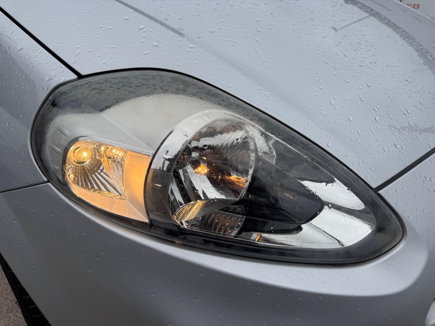 Used Fiat Punto 2017 for sale - 77191880: Photo 41