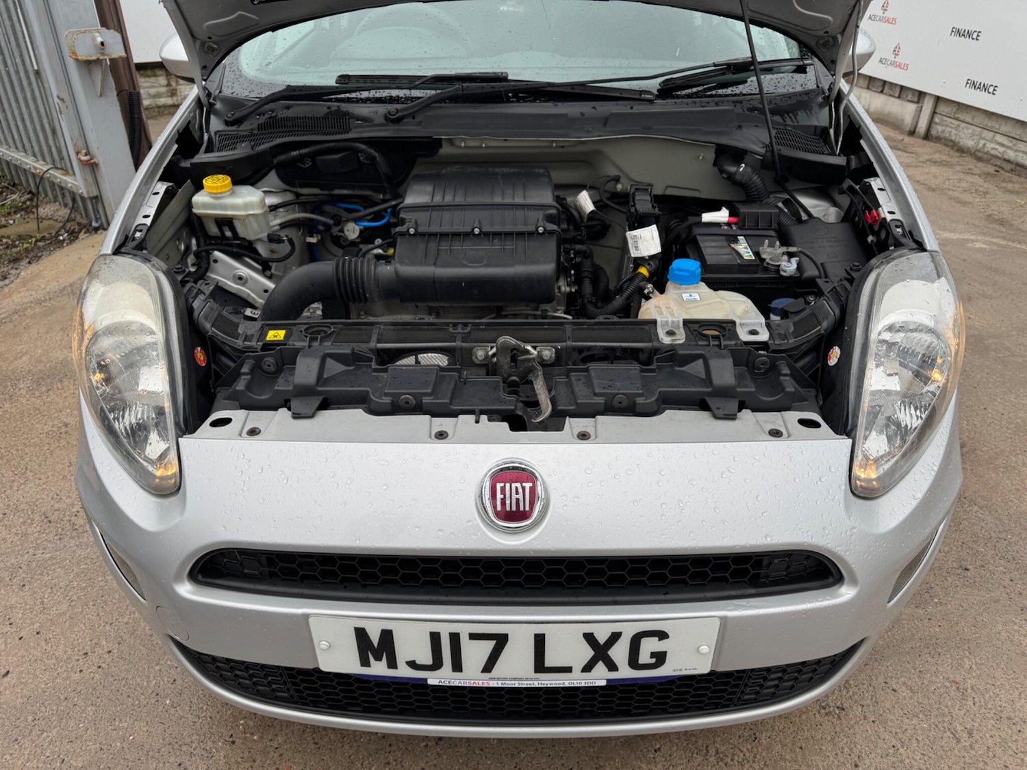 Used Fiat Punto 2017 for sale - 77191880: Photo 45