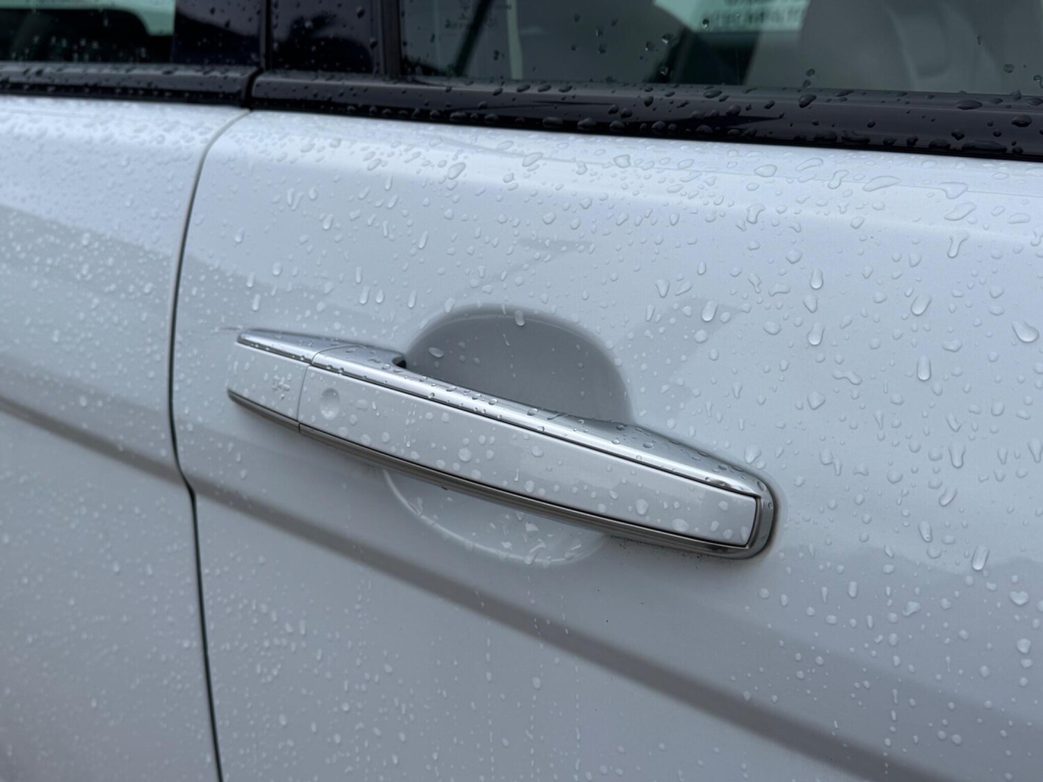 Used Land Rover Range Rover Evoque for sale - 77496696: Photo 86