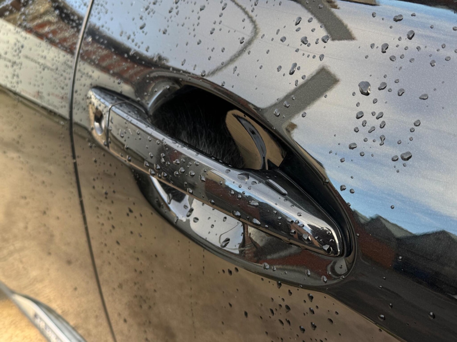 Used Lexus RX 2015 for sale - 77016100: Photo 72