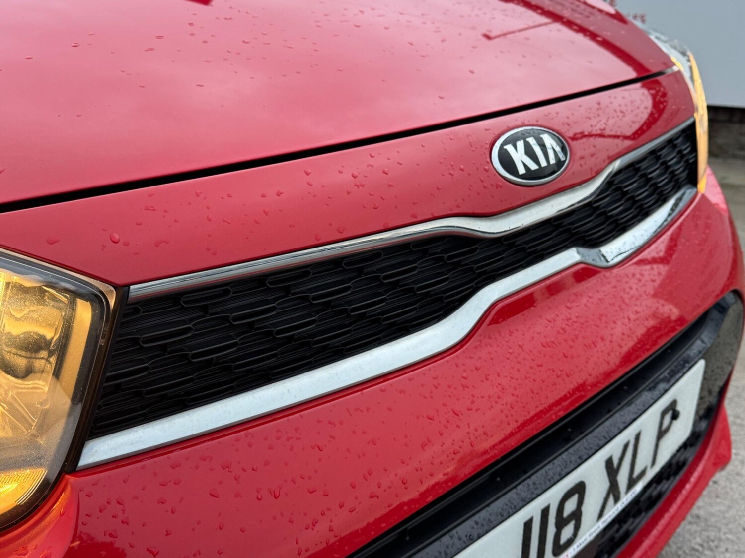 Used Kia Picanto for sale - 77524124: Photo 54