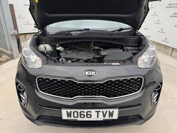 Used Kia Sportage 2017 for sale - 76307704: Photo 60