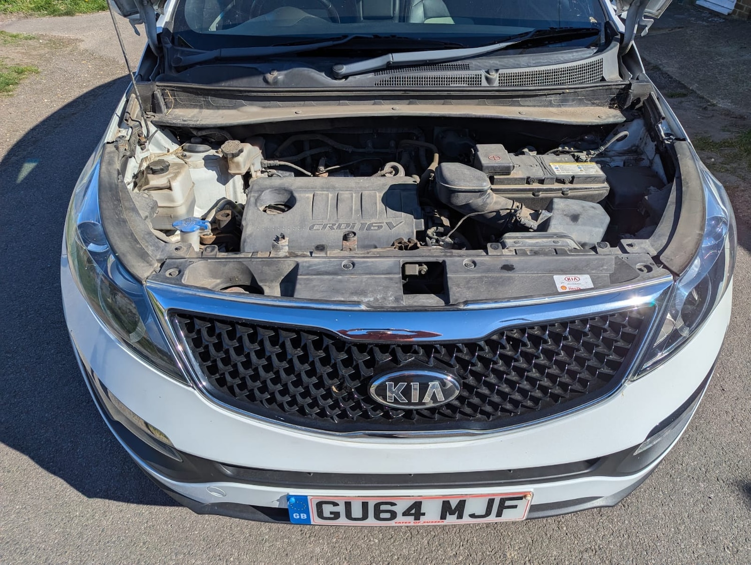 Used Kia Sportage 2014 for sale - 76451985: Photo 3