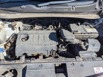 Used Kia Sportage 2014 for sale - 76451985: Photo