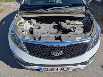 Used Kia Sportage 2014 for sale - 75580737: Photo