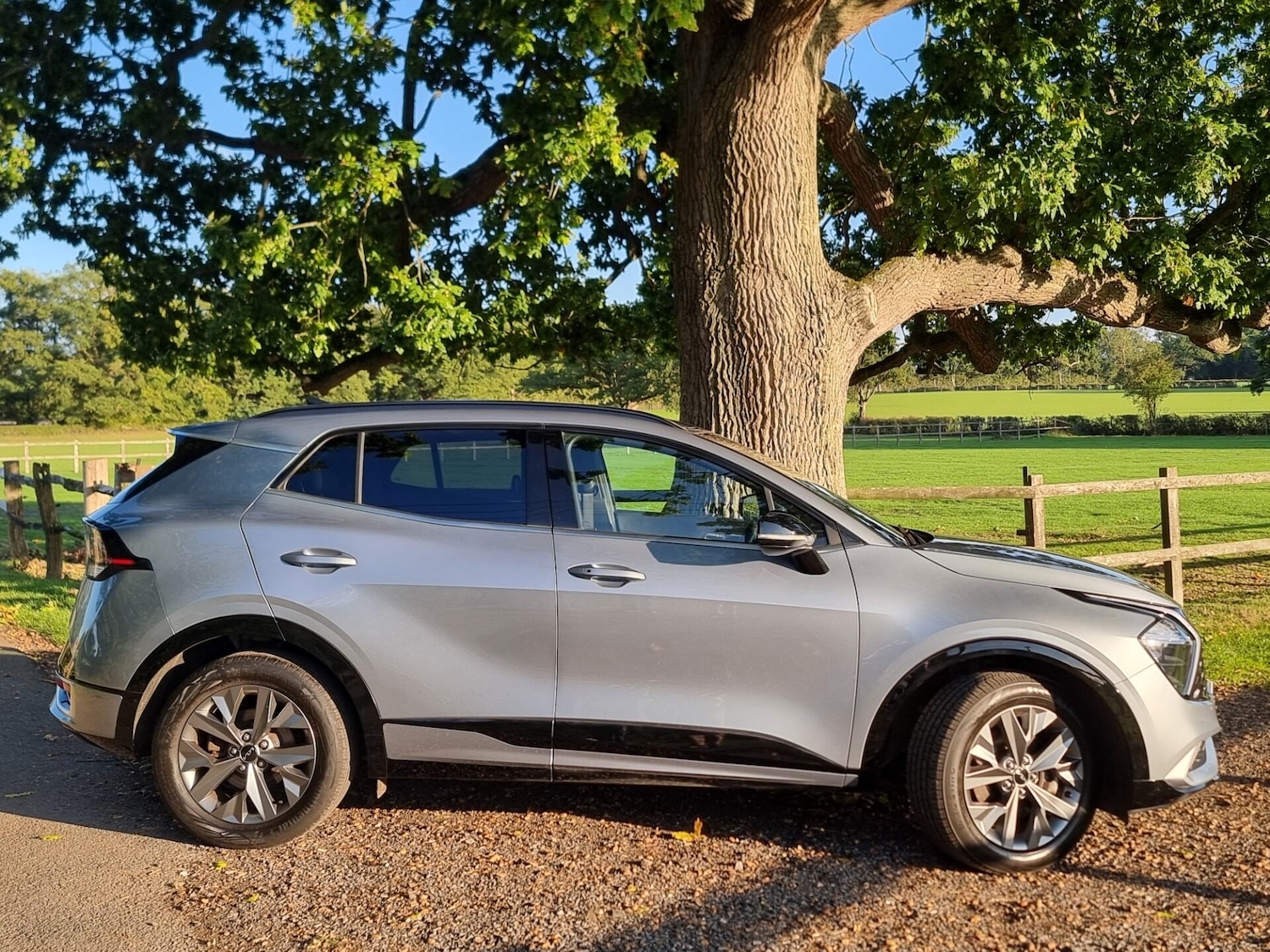Used Kia Sportage 2022 for sale - 76016896: Photo 3