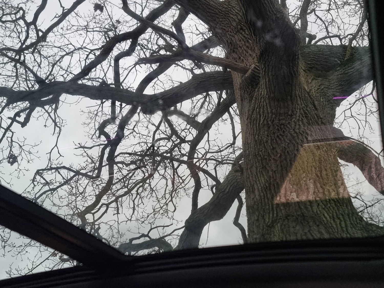 Used Audi Q3 2020 for sale - 76940445: Photo 56