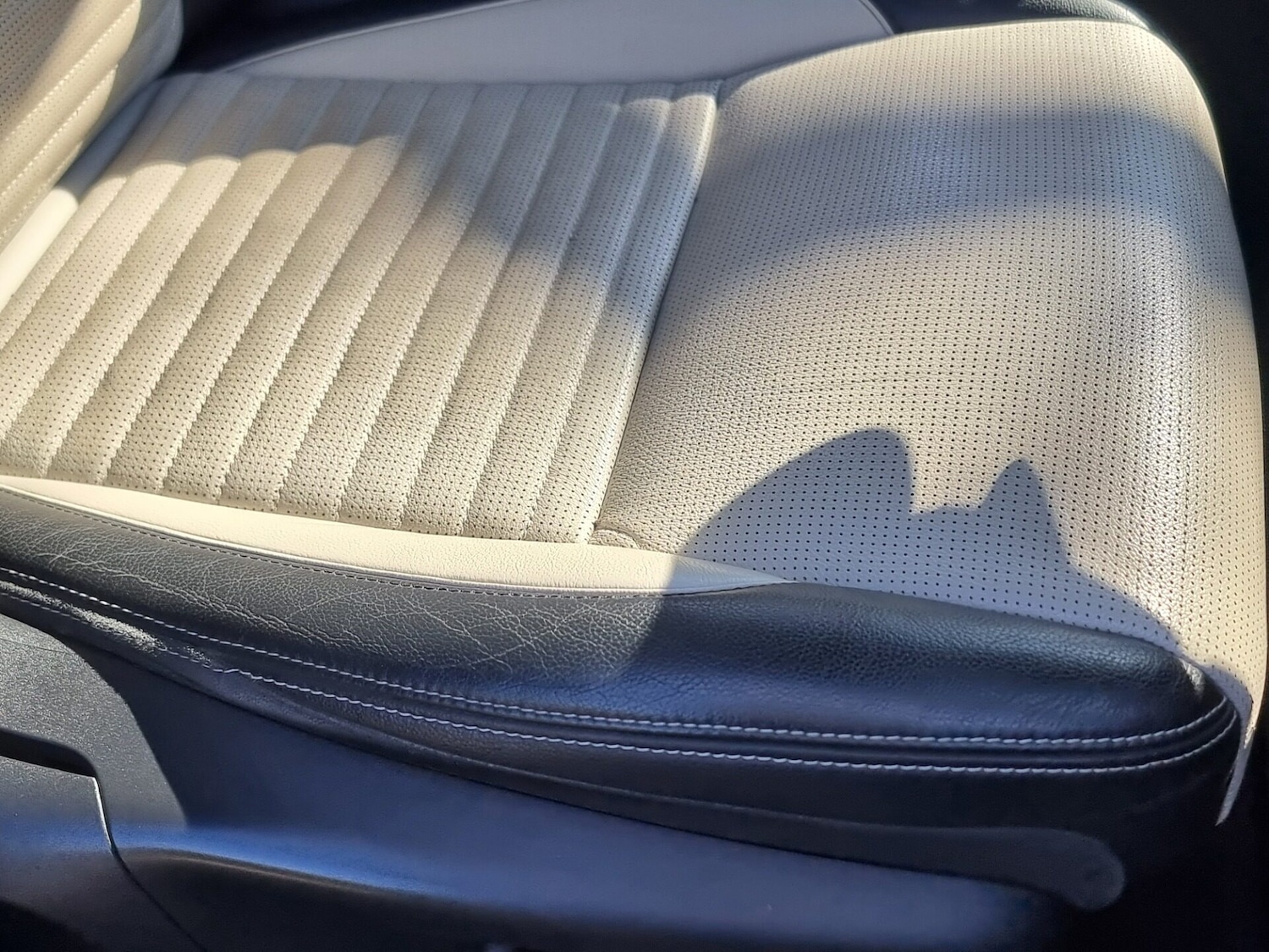 Used Land Rover Discovery Sport 2020 for sale - 77947199: Photo 25