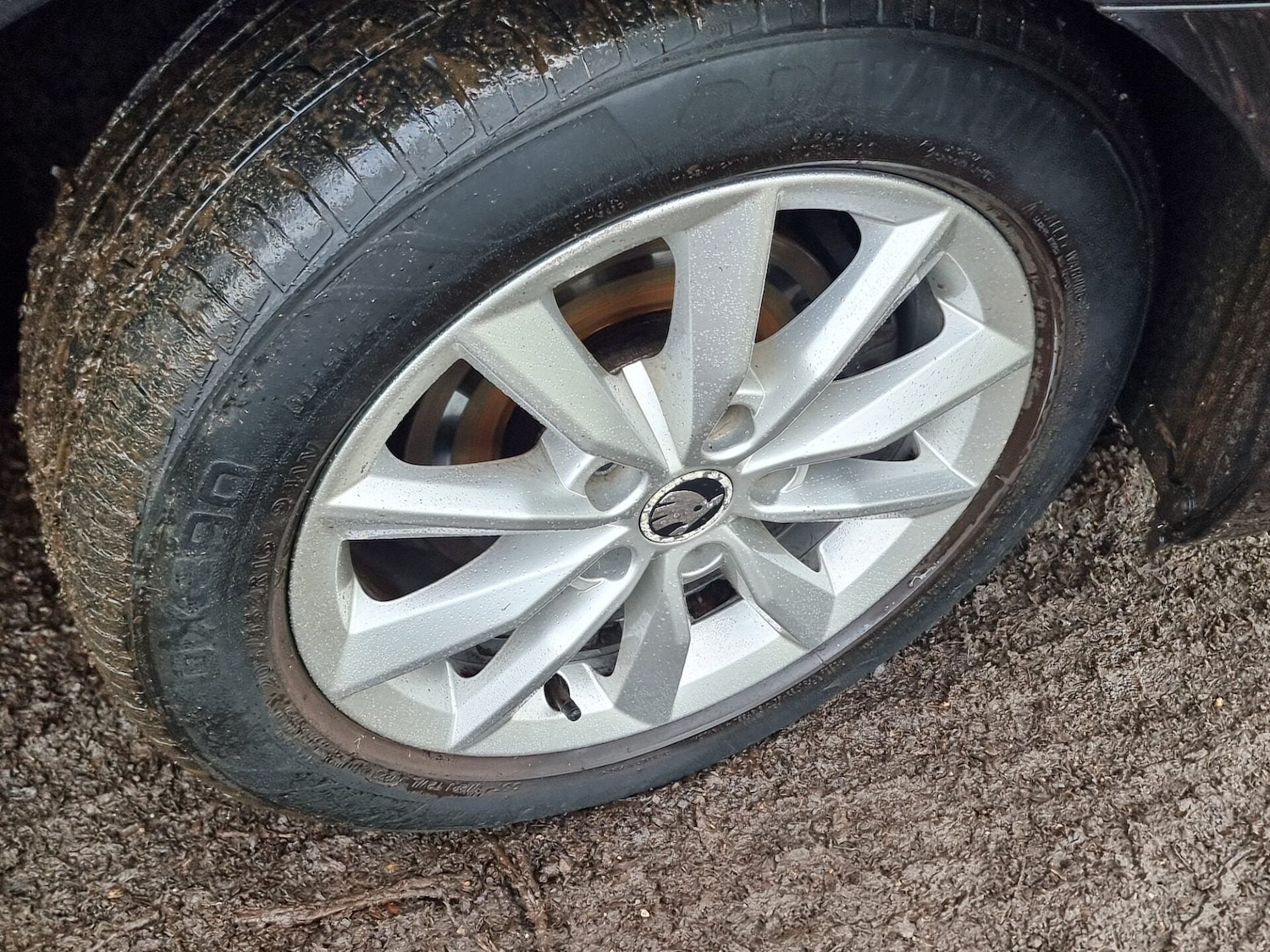 Used Skoda Octavia 2015 for sale - 77247493: Photo 12