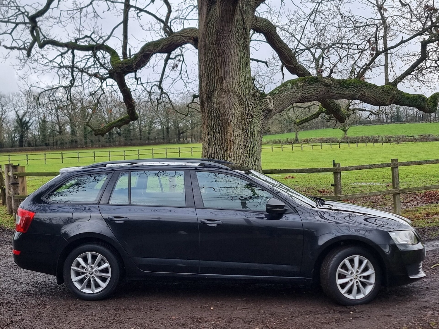 Used Skoda Octavia 2015 for sale - 77247493: Photo 3