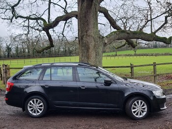 Used Skoda Octavia 2015 for sale - 77247493: Photo