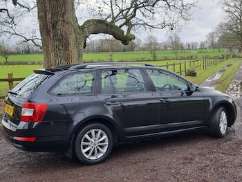 Used Skoda Octavia 2015 for sale - 77247493: Photo