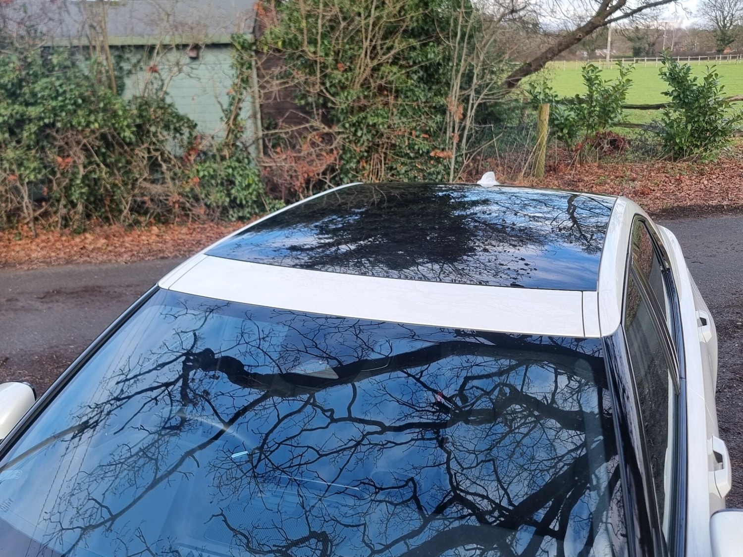 Used Polestar Polestar 2 2022 for sale - 77247487: Photo 12