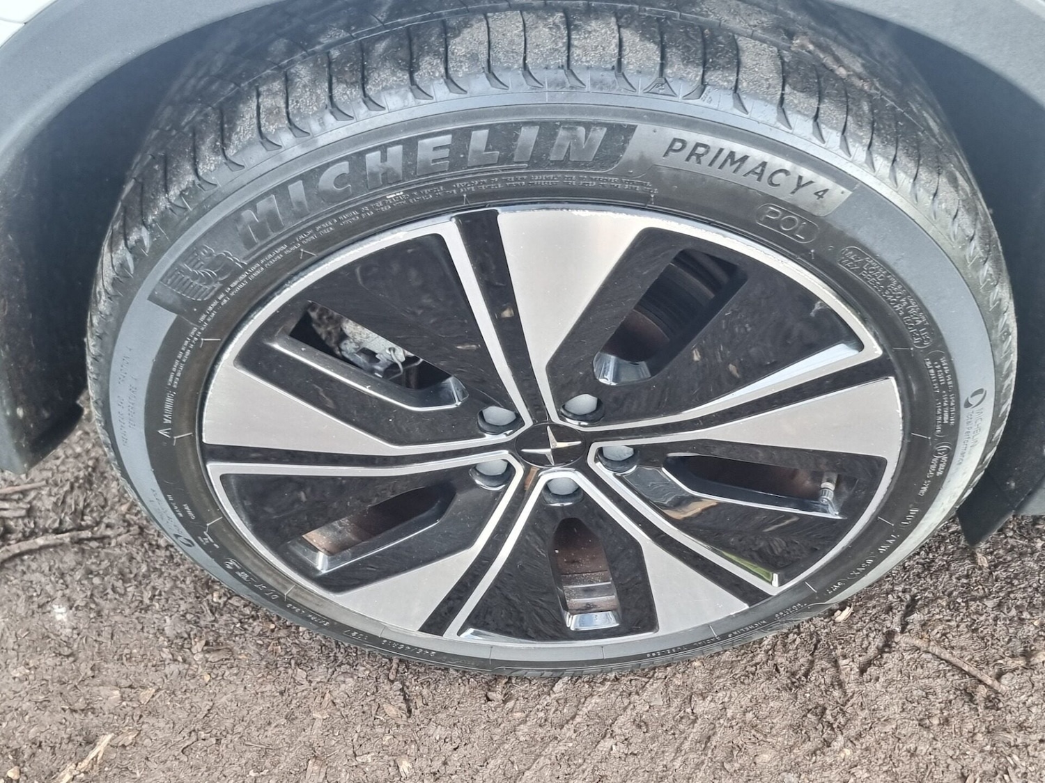 Used Polestar Polestar 2 2022 for sale - 77247487: Photo 14