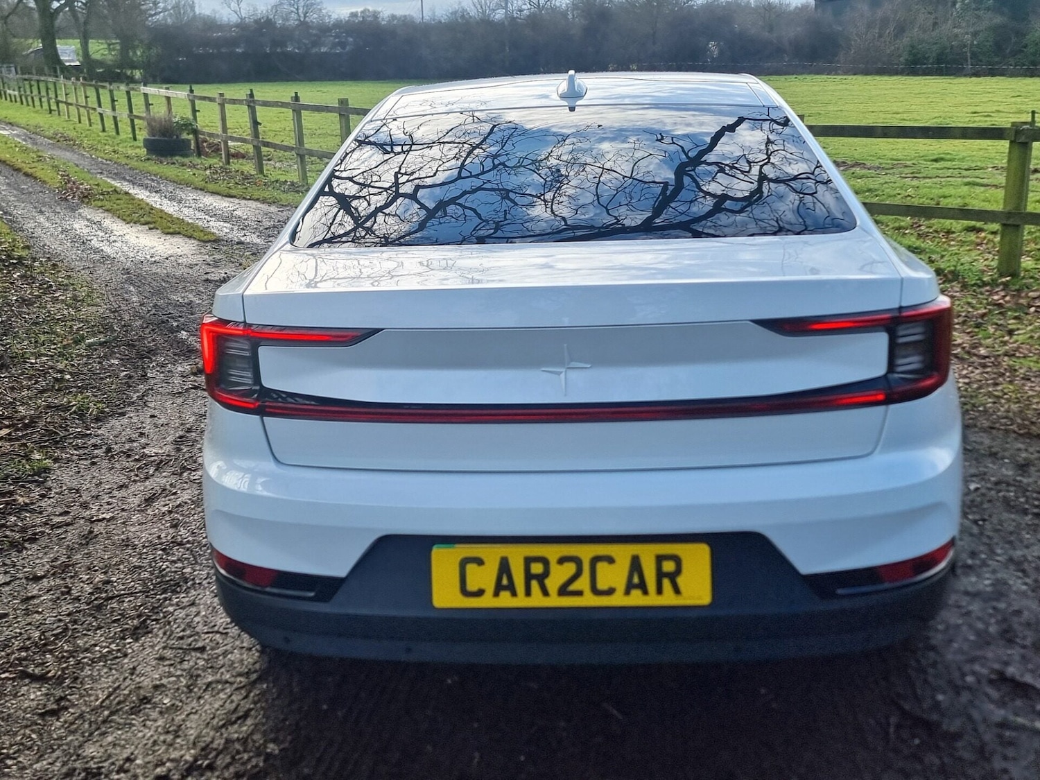 Used Polestar Polestar 2 2022 for sale - 77247487: Photo 6