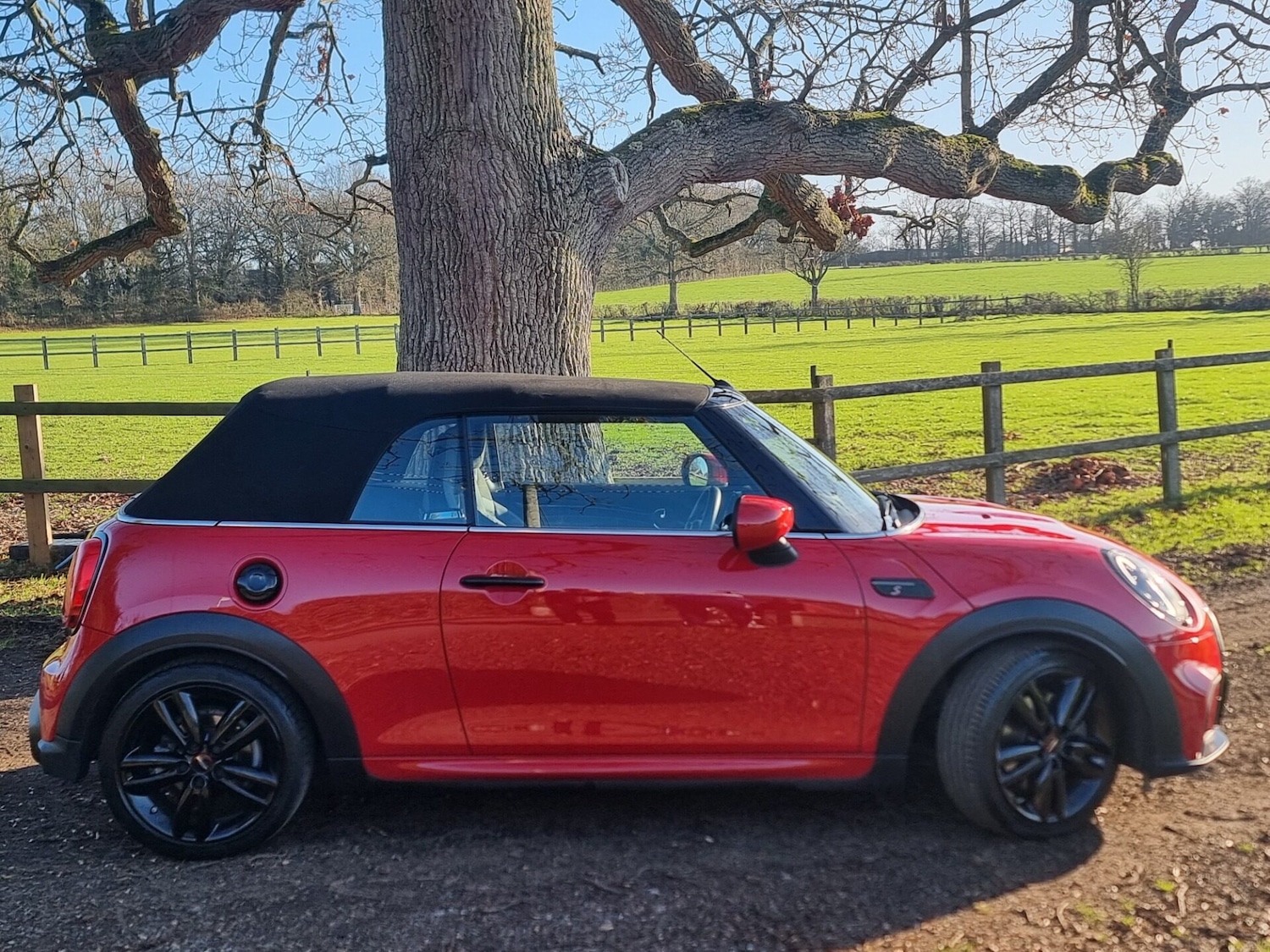 Used MINI Convertible 2021 for sale - 77055985: Photo 3