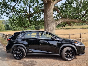 Used Lexus NX 2017 for sale - 79400667: Photo