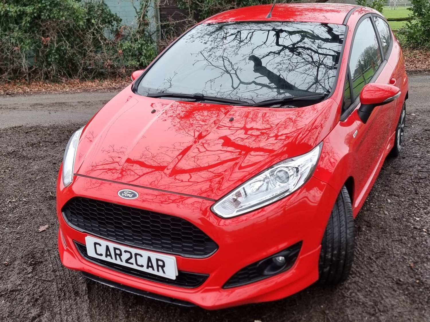 Used Ford Fiesta 2017 for sale - 77435956: Photo 11