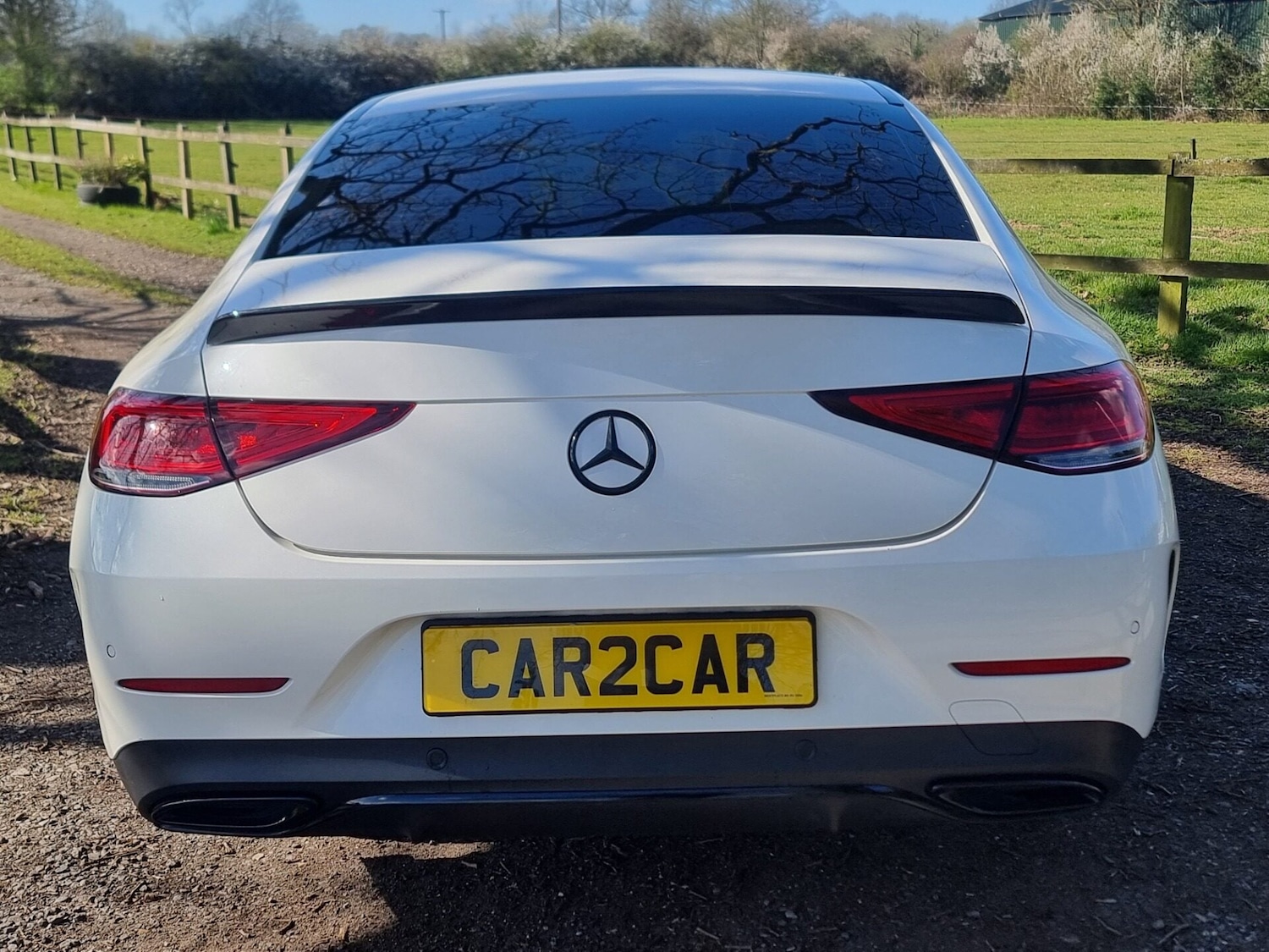 Used Mercedes-Benz CLS 2019 for sale - 78054353: Photo 6