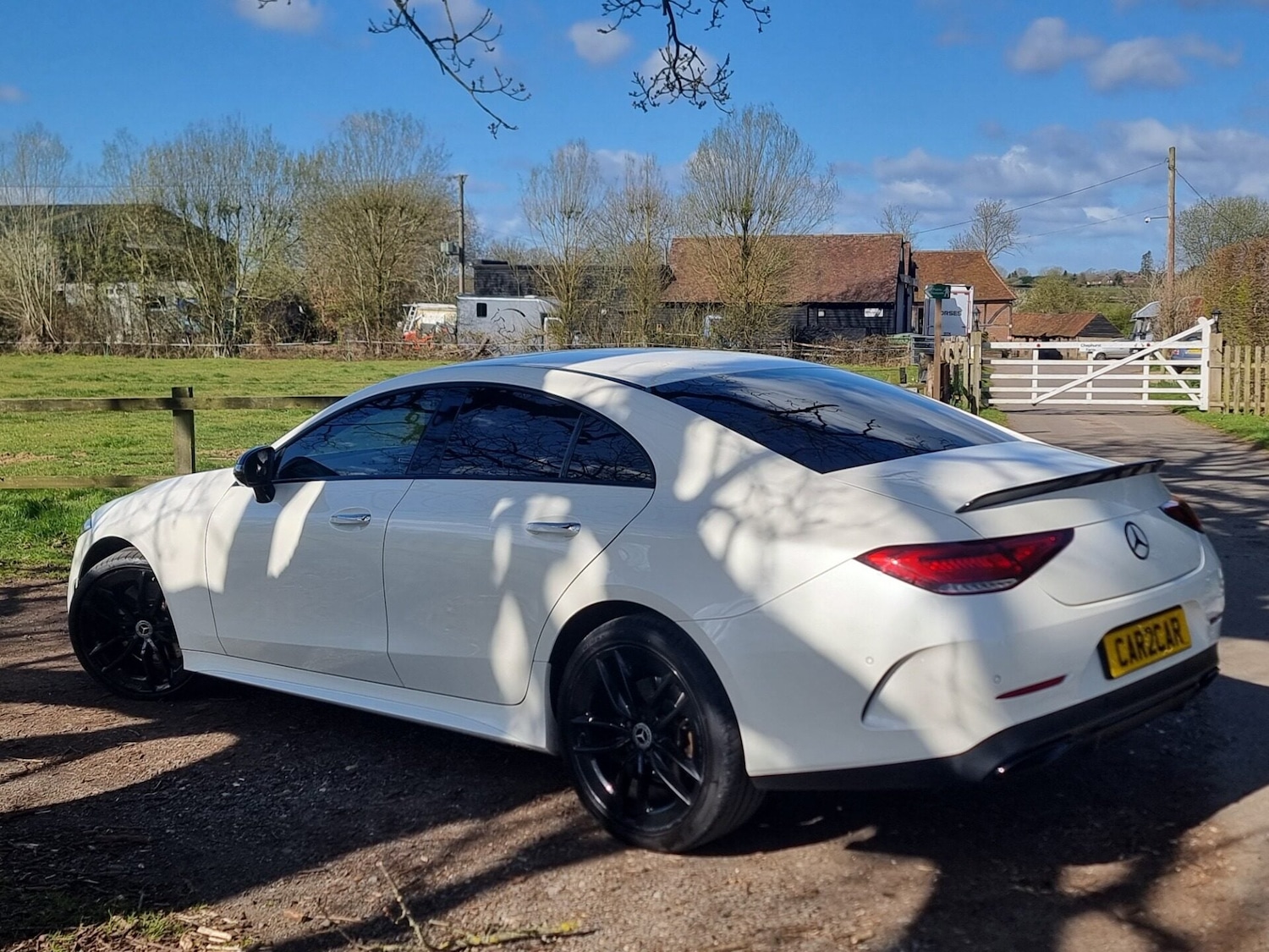 Used Mercedes-Benz CLS 2019 for sale - 78054353: Photo 8