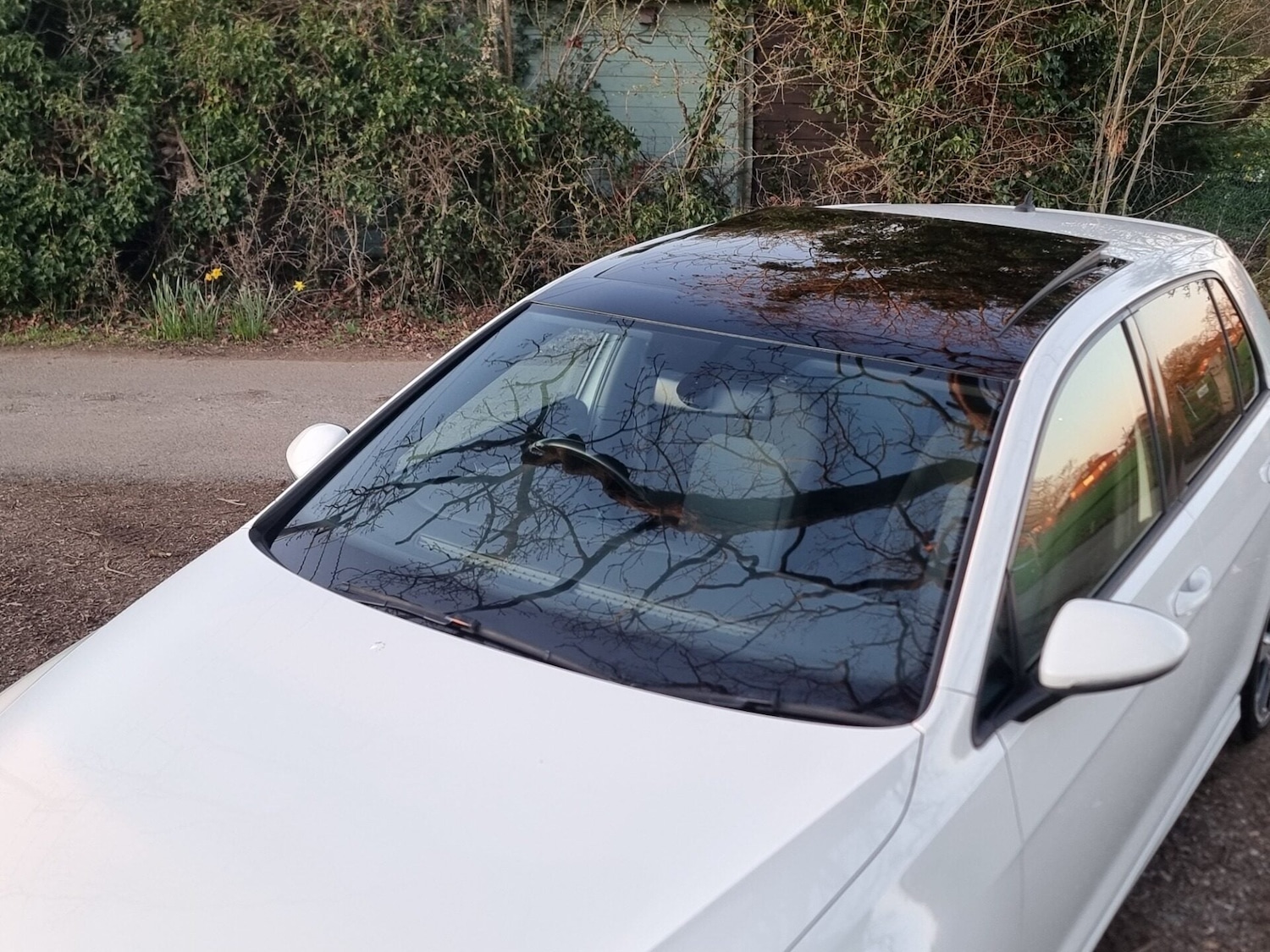 Used Volkswagen Golf 2016 for sale - 77945554: Photo 12